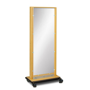 Clinton Mobile Adult Mirror