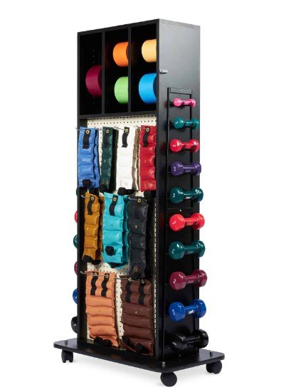 Hausmann Weight Rack with Mirror, Pegboard, Storage for REP Bands, Weights