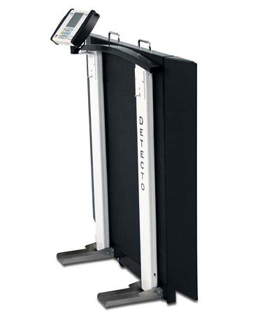 Wheelchair Scale, Portable